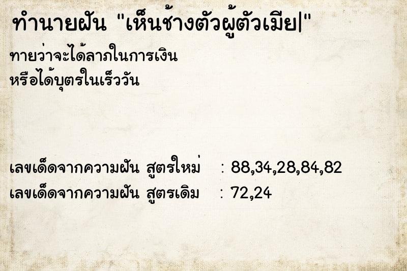 ทำนายฝันทำนายฝันเห็นช้างตัวผู้ตัวเมีย|
